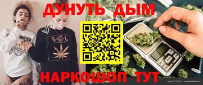 сатива Гай