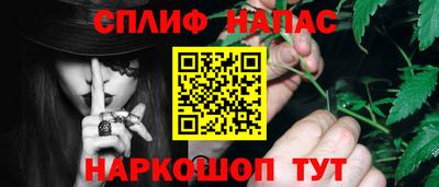 сатива Гай