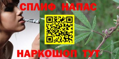 наркотики Гагарин
