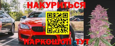 сатива Гай