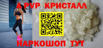 сатива Гай